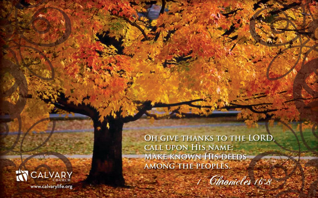 Tree leaves bible quote autumn free wallpaper for desktop - medium preview image