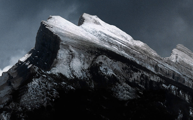 Snow covered mountain bird flying free wallpaper for desktop - medium preview image