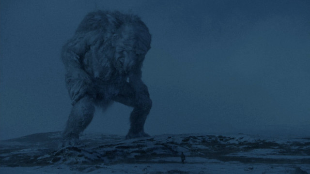 Furry animal snow night moon free wallpaper for desktop - medium preview image