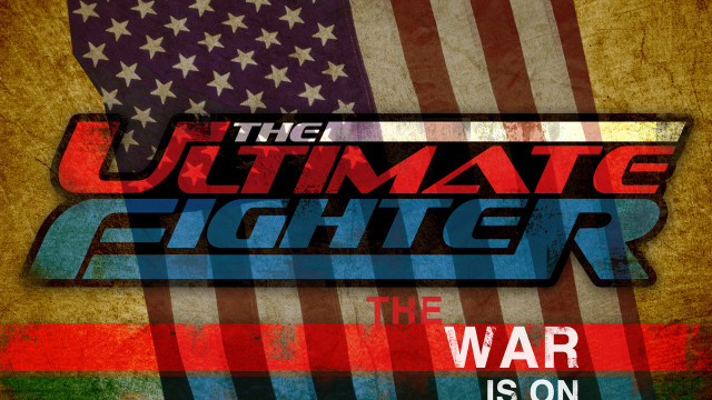 Ultimate fighter american flag grungy free wallpaper for desktop - medium preview image
