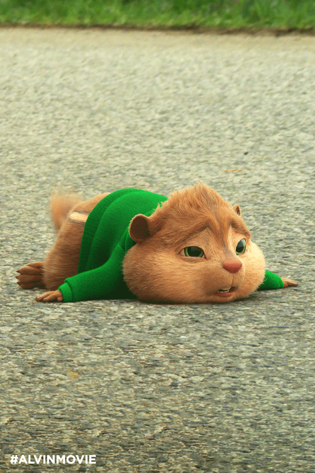 Cat laying green shirt wide free wallpaper for mobile - medium preview image