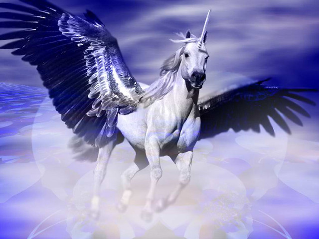 White unicorn winged halo floating free wallpaper for desktop - medium preview image