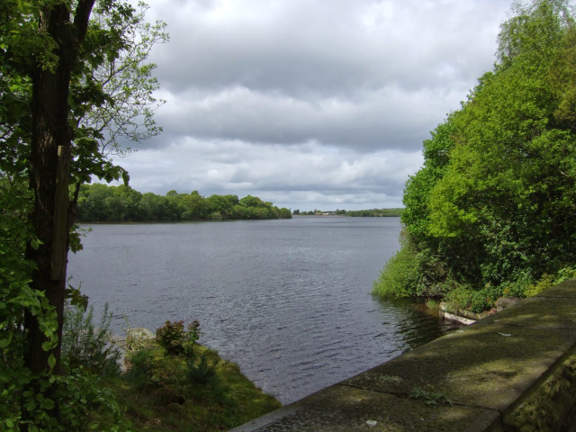 Water trees bridge cloudy sky free wallpaper for desktop - medium preview image