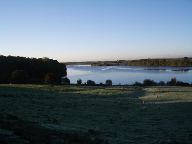 Lake forest field sheep sky free wallpaper for desktop - medium preview image