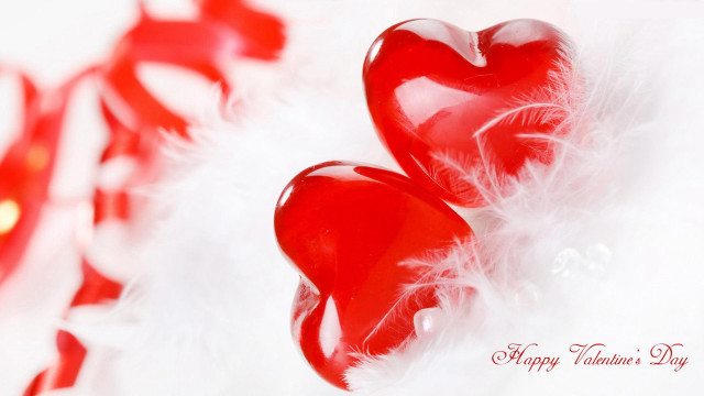 Red hearts feathers valentines love free wallpaper for desktop - medium preview image