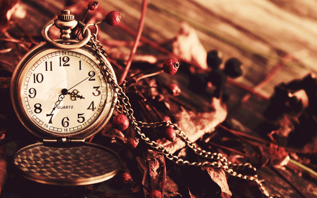 Pocket watch chain wood berries free wallpaper for desktop - medium preview image
