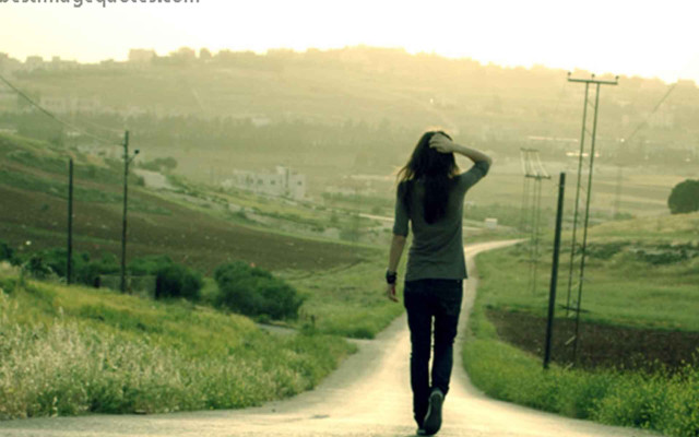 Woman skateboard dog road sunset free wallpaper for desktop - medium preview image