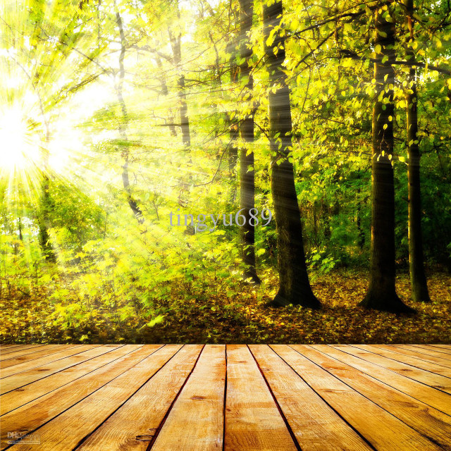 Wooden floor sunlight trees background free wallpaper for tablet - medium preview image