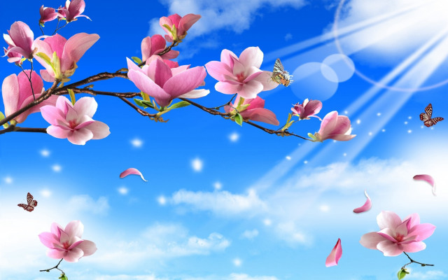 Pink flowers butterflies sky clouds free wallpaper for desktop - medium preview image
