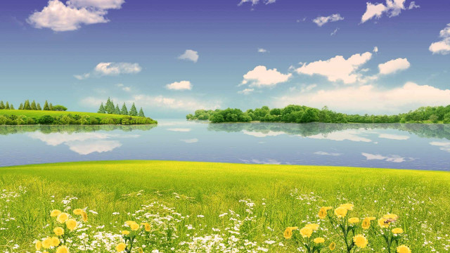 Beautiful green field flowers lake free wallpaper for desktop - medium preview image