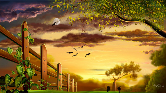 Sunset fence tree birds person free wallpaper for desktop - medium preview image