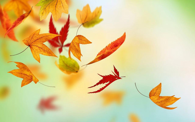 Flying leaves autumn blurry background free wallpaper for desktop - medium preview image