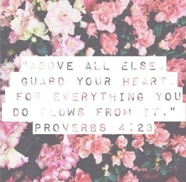 Flowers bible verse pink sakura free wallpaper for tablet - medium preview image