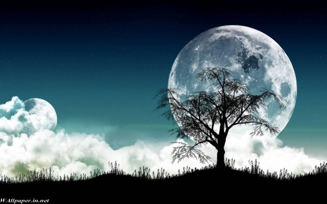 Full moon tree sky clouds free wallpaper for desktop - medium preview image