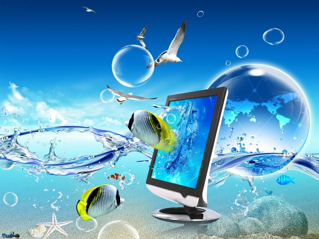 Computer monitor desk fish bubbles #4 free wallpaper for desktop - medium preview image