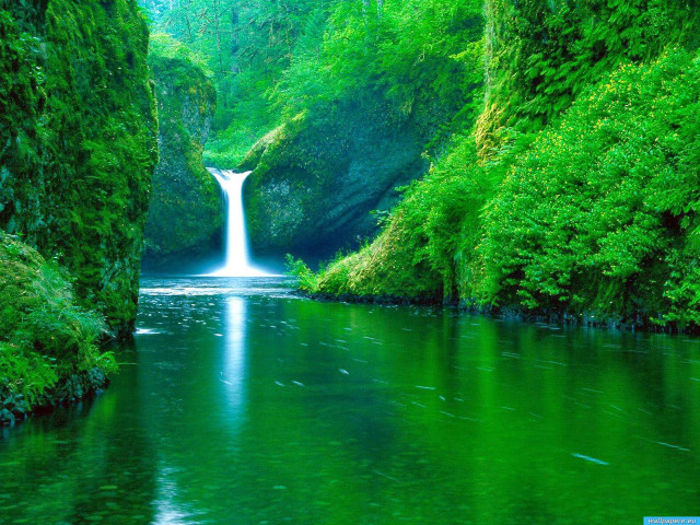 Waterfall green forest stream nature #6 free wallpaper for desktop - medium preview image