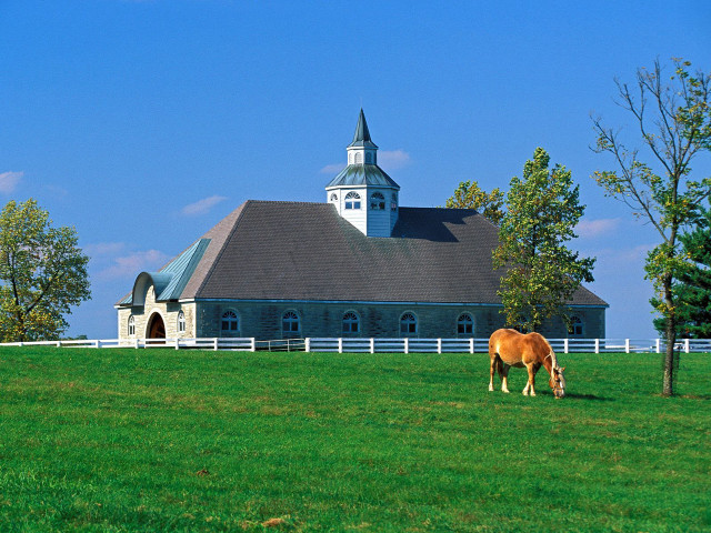 Horse grazing field church steeple free wallpaper for desktop - medium preview image