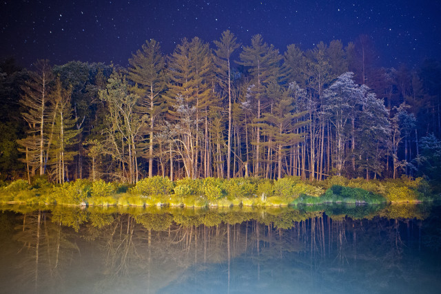 Night forest lake trees sky free wallpaper for desktop - medium preview image