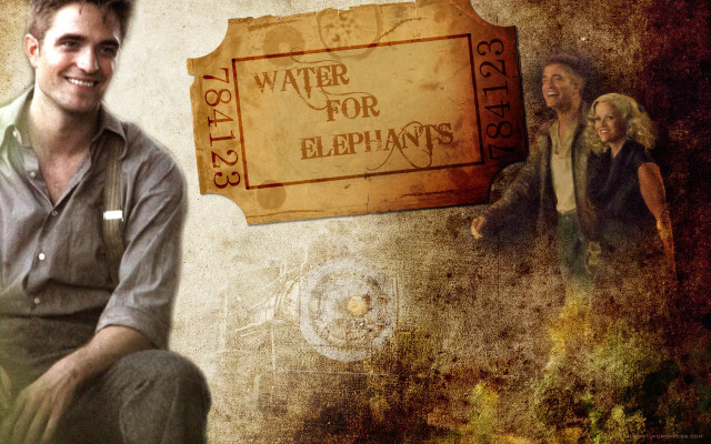 Old man bald beard mustache free wallpaper for desktop - medium preview image