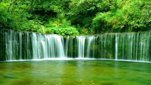 Waterfall green forest fish swimming free wallpaper for desktop - medium preview image