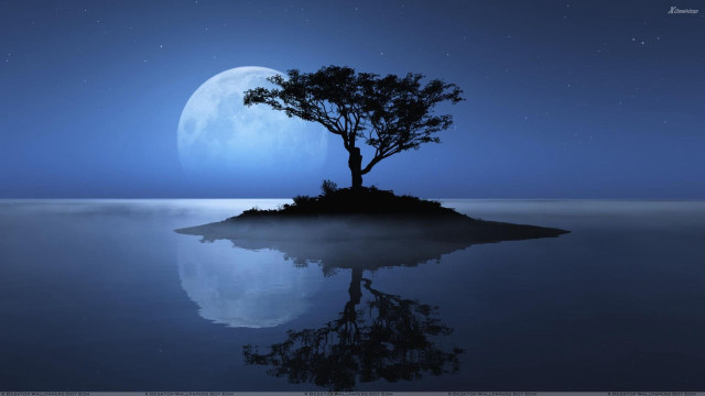Tree island ocean night full #5 free wallpaper for desktop - medium preview image