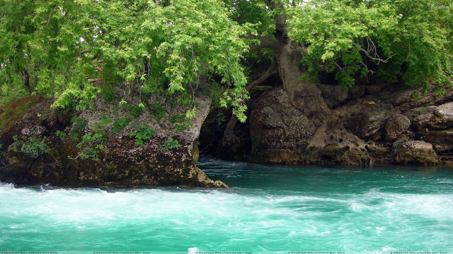 River rock formation trees growing free wallpaper for desktop - medium preview image