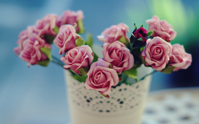 Vase pink roses table wallpaper free wallpaper for desktop - medium preview image