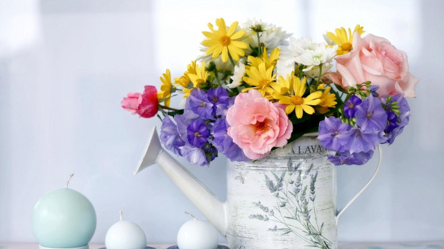 Watering can flowers eggs candles free wallpaper for desktop - medium preview image