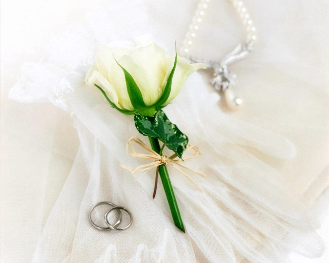 White rose wedding rings pearl free wallpaper for desktop - medium preview image