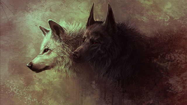 Two wolfs facing red brown free wallpaper for desktop - medium preview image
