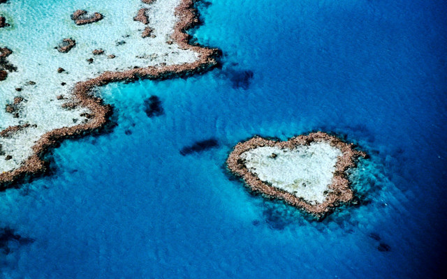 Heart shaped reef ocean blue free wallpaper for desktop - medium preview image