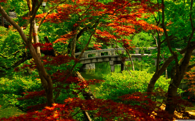 Bridge park trees flowers bench free wallpaper for desktop - medium preview image