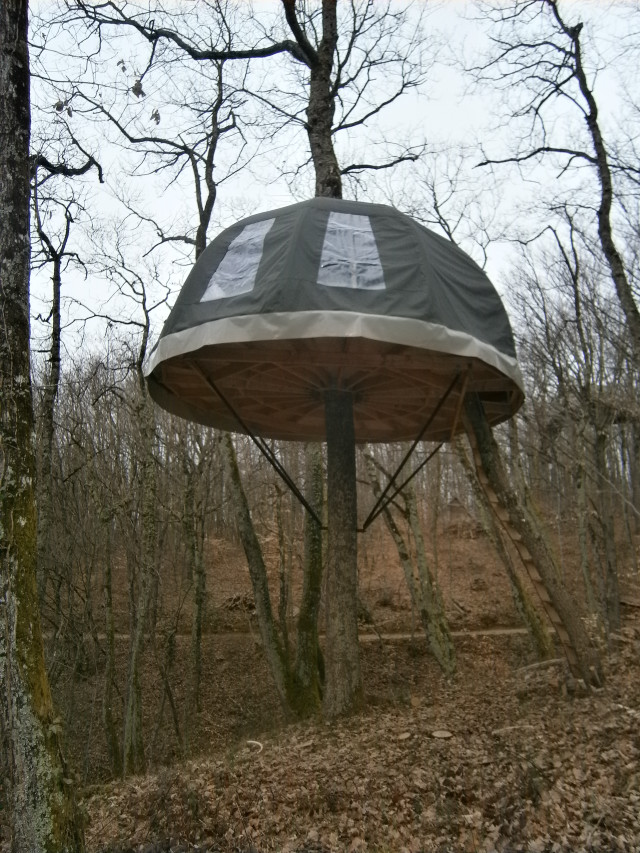 Tree house woods tarp ladder free wallpaper for mobile - medium preview image