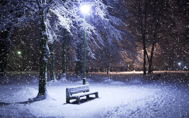 Bench snowy park night streetlight #9 free wallpaper for desktop - medium preview image