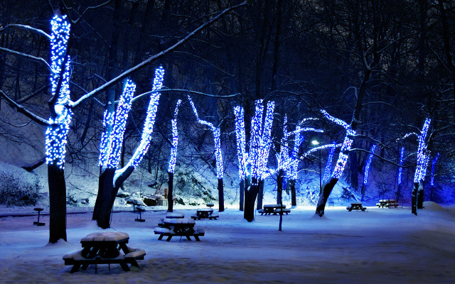 Snowy park bench lights trees free wallpaper for desktop - medium preview image
