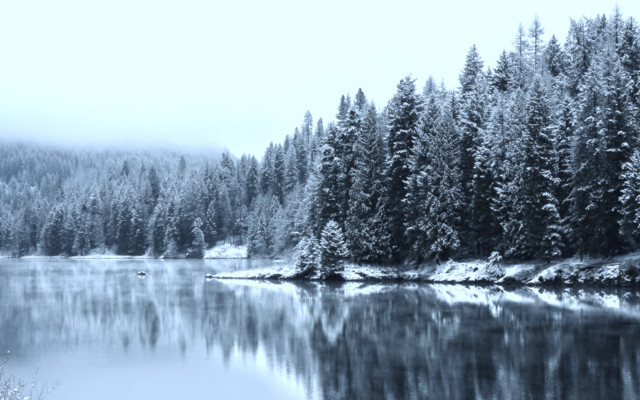 Lake trees snow foggy forest free wallpaper for desktop - medium preview image