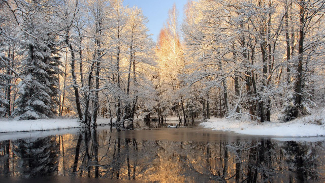 Pond trees snow background branches free wallpaper for desktop - medium preview image