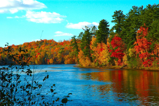 Lake fall colors trees blue #2 free wallpaper for desktop - medium preview image