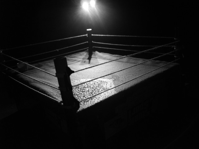 Boxing ring night light referee free wallpaper for desktop - medium preview image