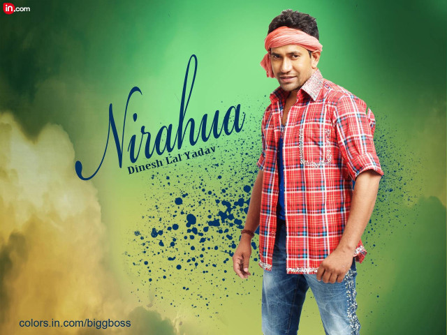 Man green background ella guru free wallpaper for desktop - medium preview image