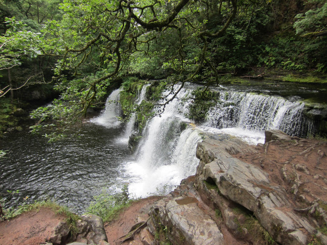 Waterfall forest rocks trees stream #14 free wallpaper for desktop - medium preview image