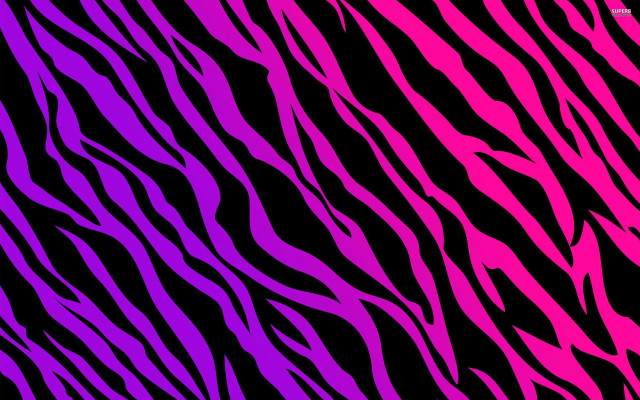 Zebra print black background pink free wallpaper for desktop - medium preview image