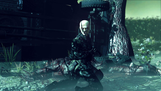 Man black white outfit swamp free wallpaper for desktop - medium preview image