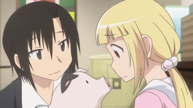 Couple people standing cat lap free wallpaper for desktop - medium preview image