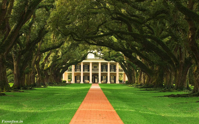 Brick path white house trees #2 free wallpaper for desktop - medium preview image