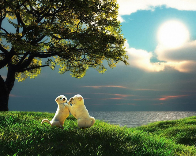 Stuffed animals grass tree hill #3 free wallpaper for desktop - medium preview image
