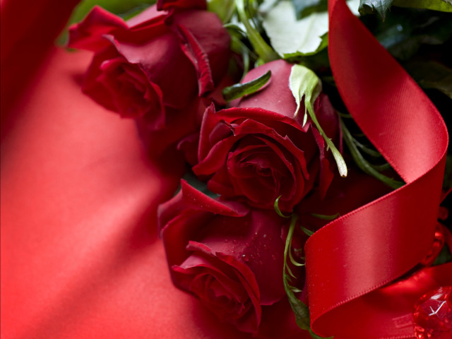 Red roses bouquet blurry romantic free wallpaper for desktop - medium preview image