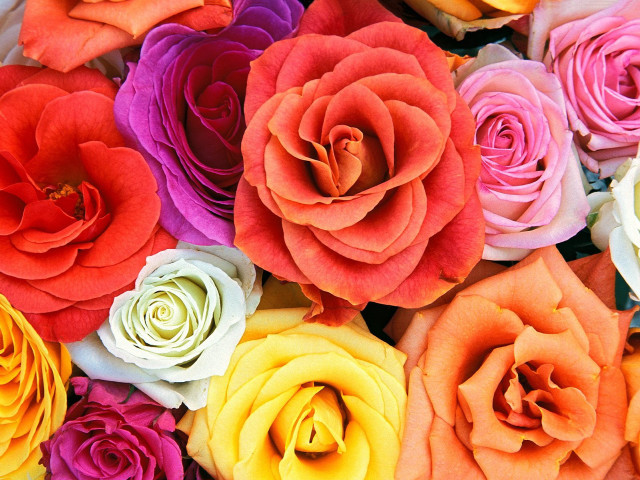 Colorful flowers for sale in free wallpaper for desktop - medium preview image