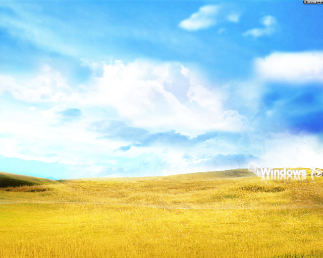 Field blue sky clouds yellow free wallpaper for desktop - medium preview image