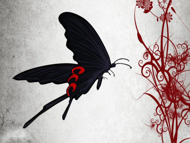 Black butterfly red accents red free wallpaper for desktop - medium preview image